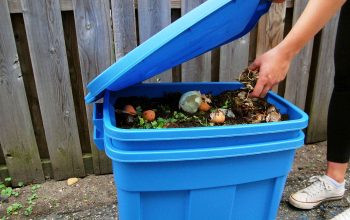 Compost Bin For Home